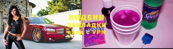 шишки Касимов
