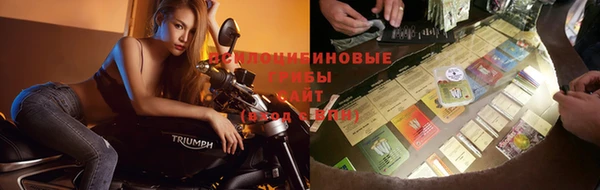 шишки Касимов