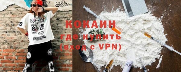 шишки Касимов