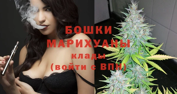шишки Касимов